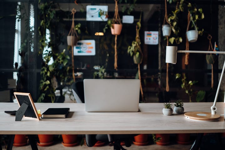Serene Office Space With Greenery And Minimalist Design