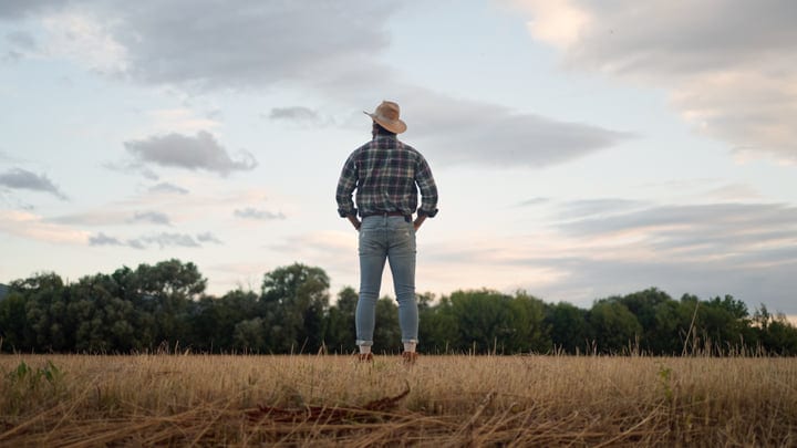 Farmer Gazes at Expansive Fields Under Evening Sky