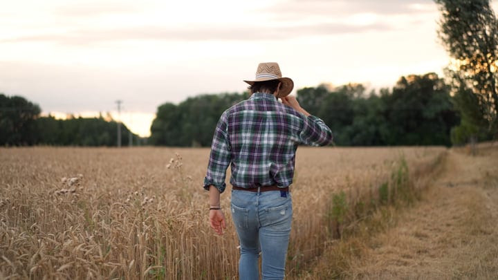 A Farmer Walks Reflectively Through The Wheat Fields