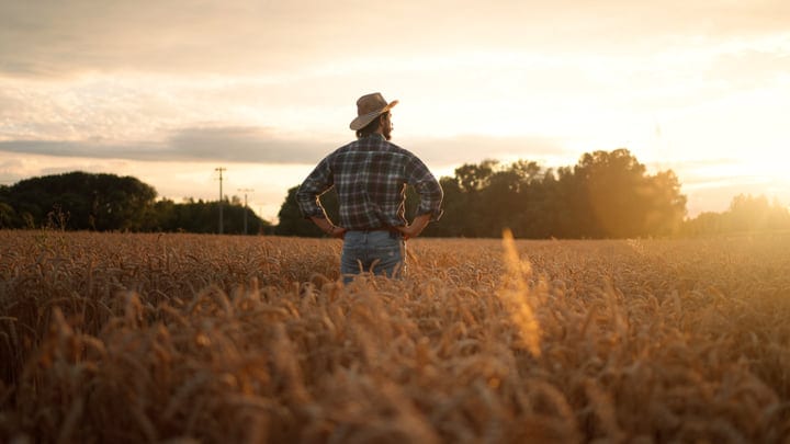 Contemplative Farmer Surveys Wheat Field at Sunset