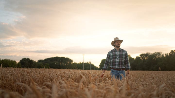 Contemplative Farmer Walking Through Golden Wheat Fields