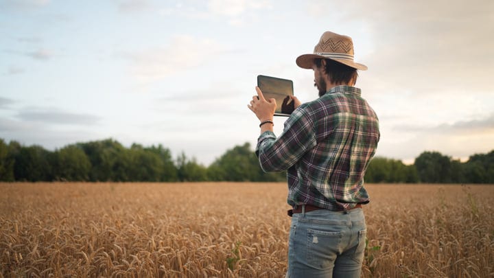 Modern Farming: A Digital Approach in the Wheat Field