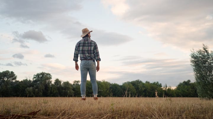 Contemplative Farmer Gazes at Twilight Skyline
