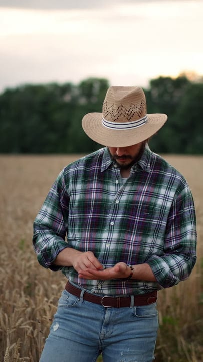 A Farmer Explores Digital Tools in the Wheat Field