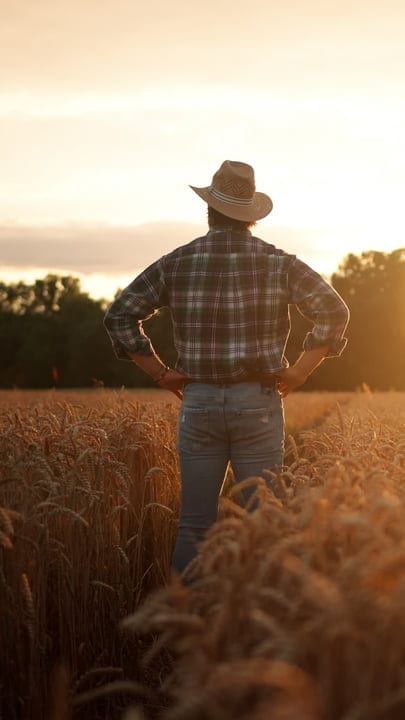 A Farmer Stands Tall in the Golden Wheat Field