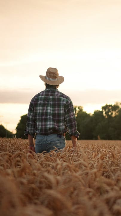 Farmer Embraces Technology Amidst Golden Wheat Fields