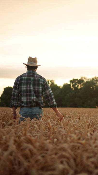Sunset Reflections: Farmer Embraces the Wheat Field