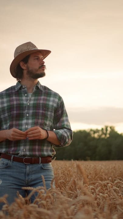 Contemplative Farmer Stands in Golden Wheat Field