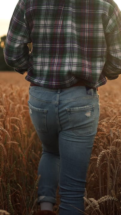 Farmer Strolls Through Golden Wheat Field At Dusk