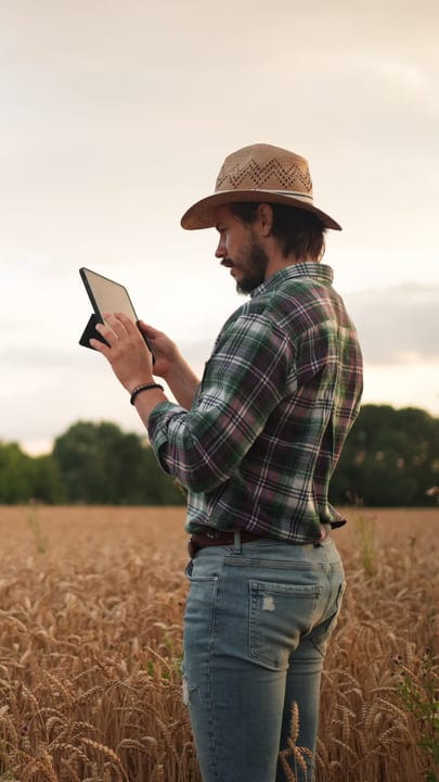 Modern Farmer Engages with Technology in Wheat Field