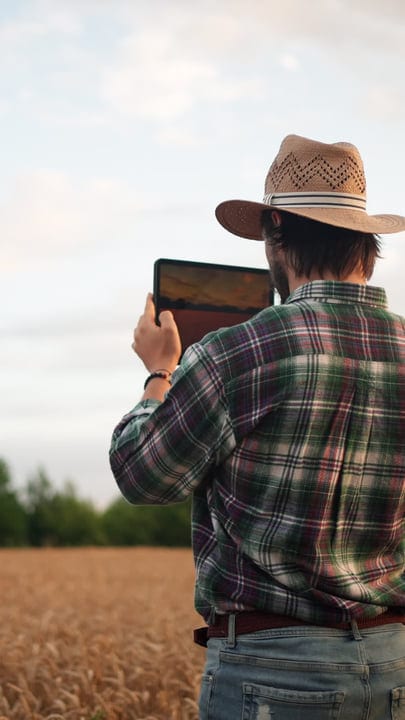 Modern Farming: Digital Tablet in Rustic Wheat Field