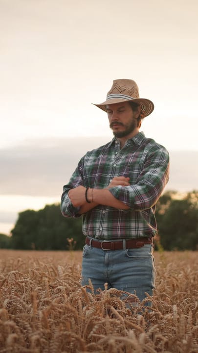 Contemplative Farmer Stands Amidst Golden Wheat Fields