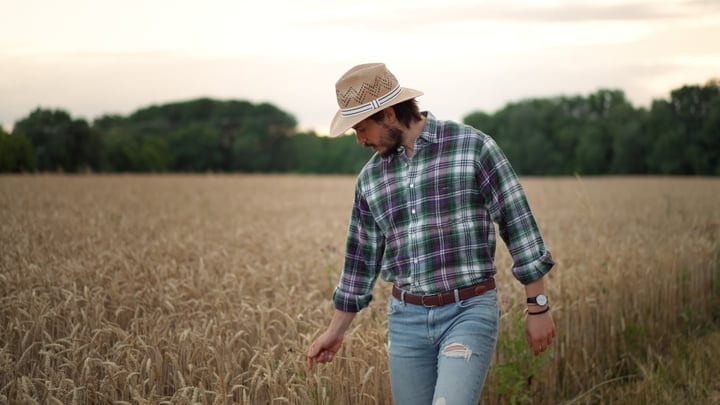 Contemplative Farmer Examines Wheat Field at Dusk