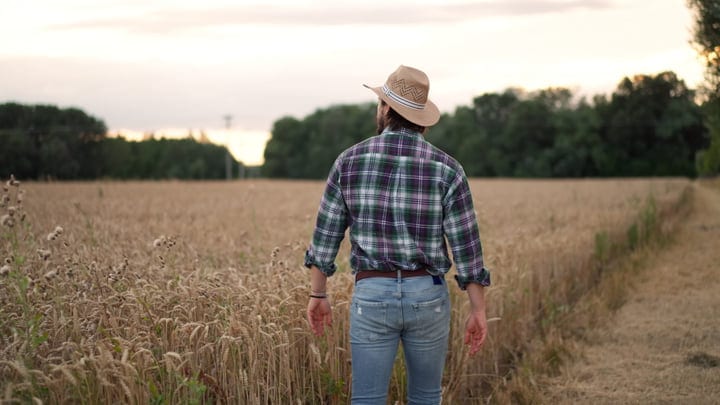A Farmer Strolls Through Golden Wheat Fields At Dusk