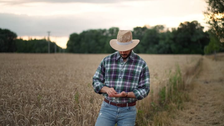 Farmer Engages with Technology in Golden Wheat Field