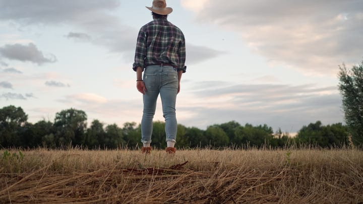 Back View Of Farmer Surveying His Land At Dusk