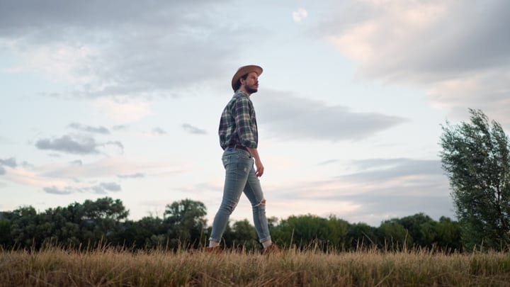 Strolling Through Fields Under The Evening Sky