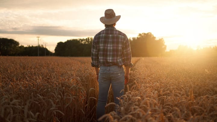 A Farmer Embraces the Sunrise Over Golden Fields