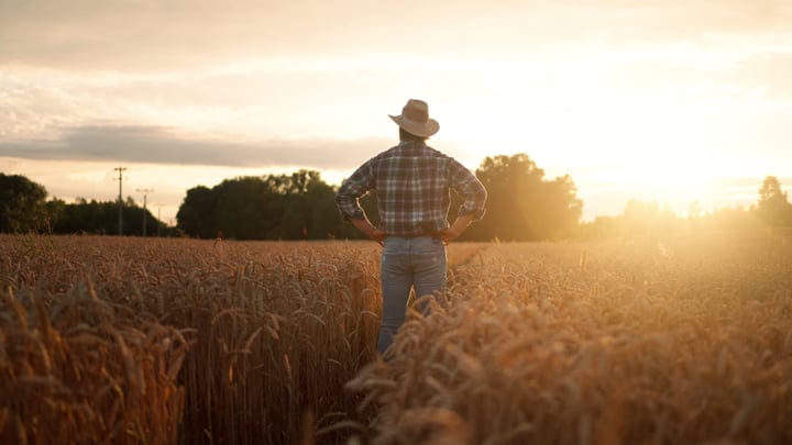 Farmer Contemplates Harvest Under Golden Sunset Skies