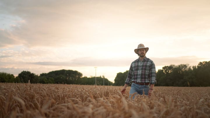 A Farmer Walks Through A Golden Wheat Field