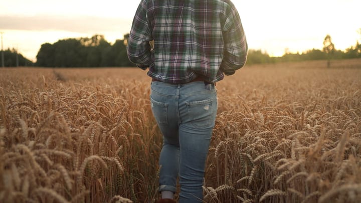 Walking Through Golden Fields At Sunset With Purpose