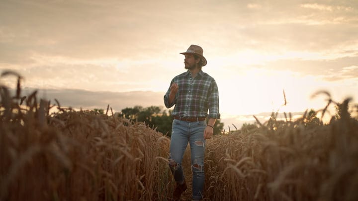 Sunset Reflections: Farmer Explores Wheat Field Insights
