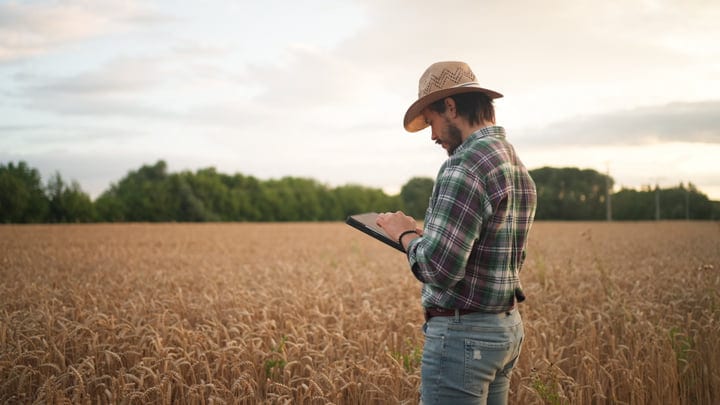 A Farmer Embraces Technology In A Golden Wheat Field