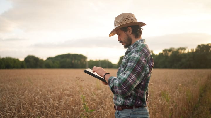Farmer Engages With Digital Tablet Amidst Wheat Fields