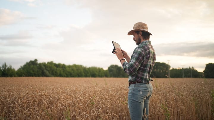 Modern Farmer Engages With Technology Amidst Golden Fields