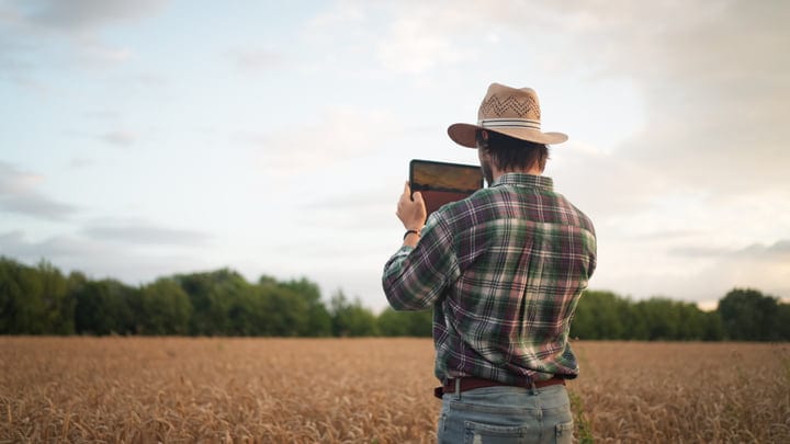 Farmer Embraces Technology In A Golden Wheat Field