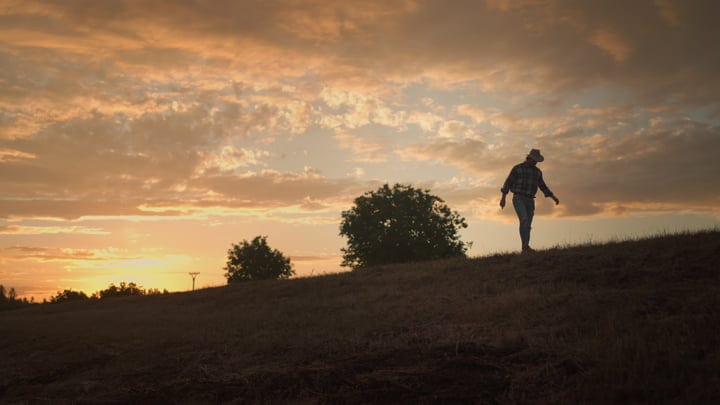 A Farmer Finds Solace Walking at Sunset