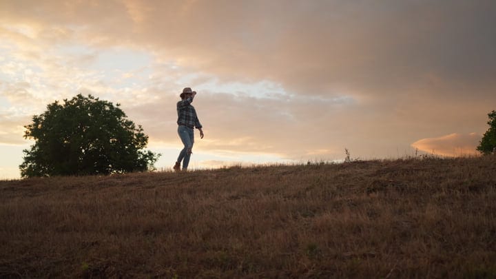 A Farmer Walks Across The Field Under A Majestic Sky