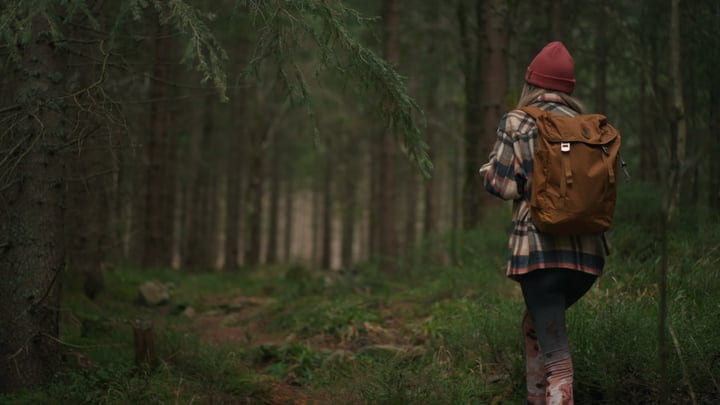 Exploring The Tranquil Depths Of A Forest Trail