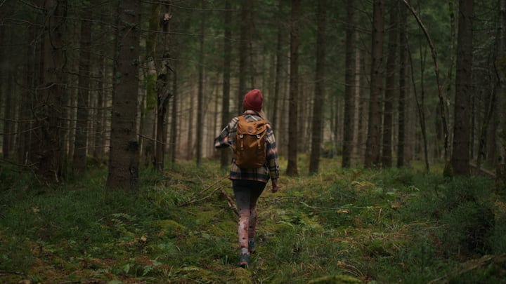 Solitary Walker Embraces Nature In Lush Greenery