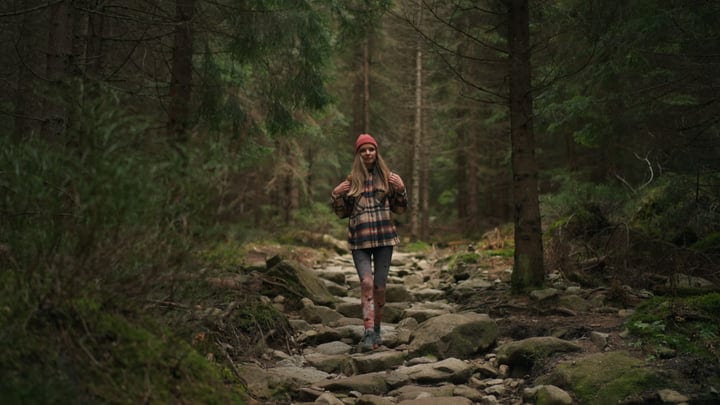 Embracing The Serenity Of A Forest Hike In Autumn