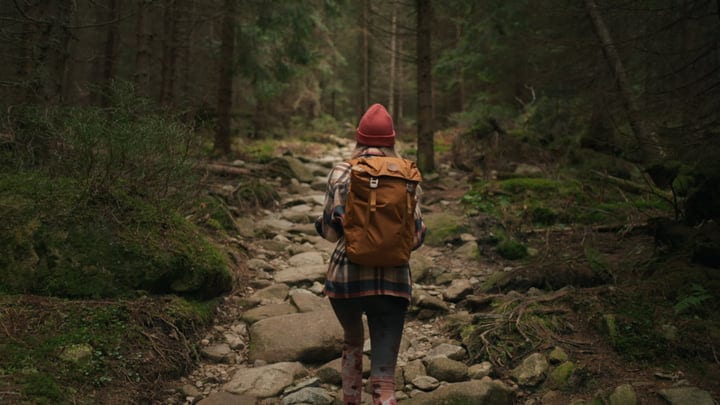 Exploring The Forest Trail With A Sense Of Adventure