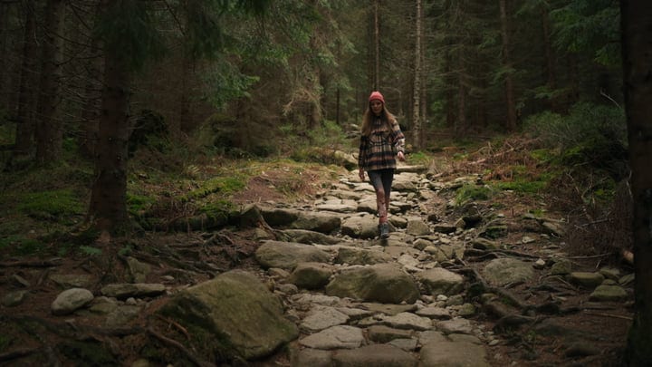 A Solitary Hiker Embraces Nature's Quiet Pathway