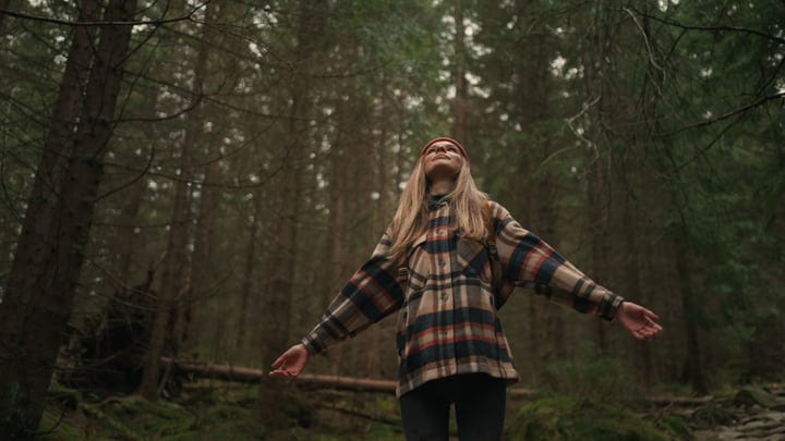 Embracing Nature's Serenity in the Heart of the Forest