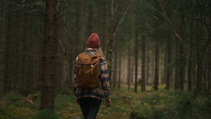 Exploring Tranquility: A Hiker's Journey Through Dense Woods