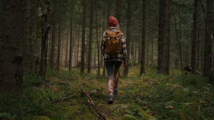 Adventurous Hiker Wanders Through Dense European Woodland