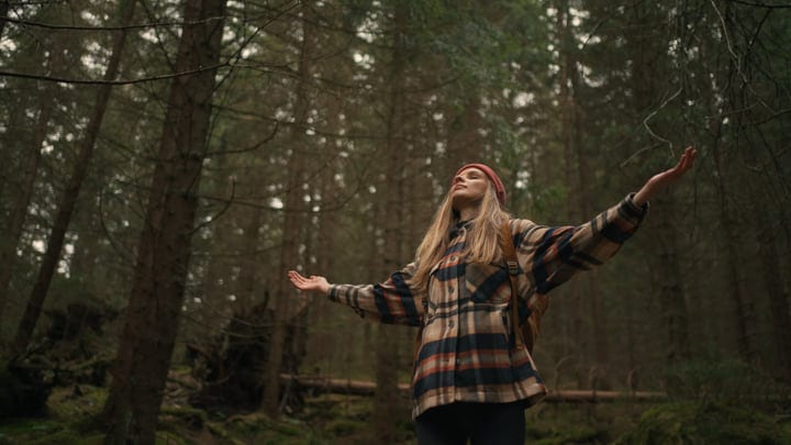 Embracing Nature's Serenity In The Heart Of The Forest