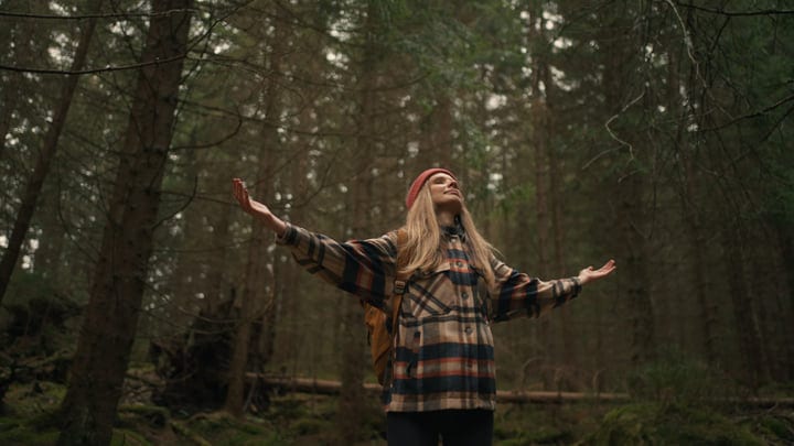 Embracing the Serenity of a European Forest Trail