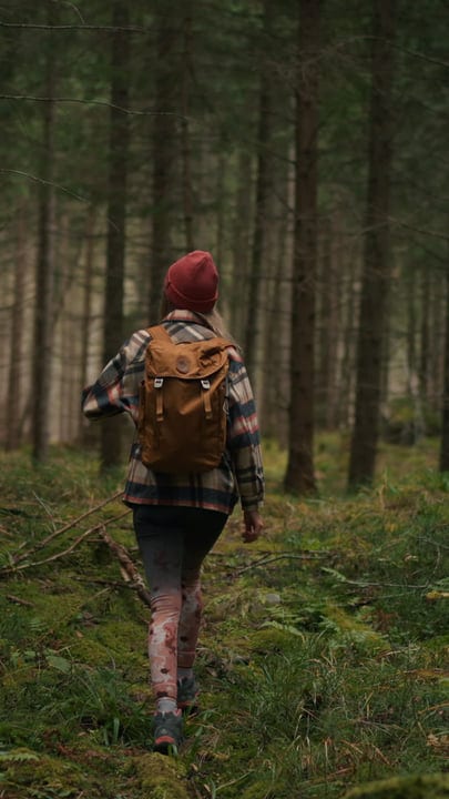 Adventurous Spirit Wanders Through Tranquil Forest Path