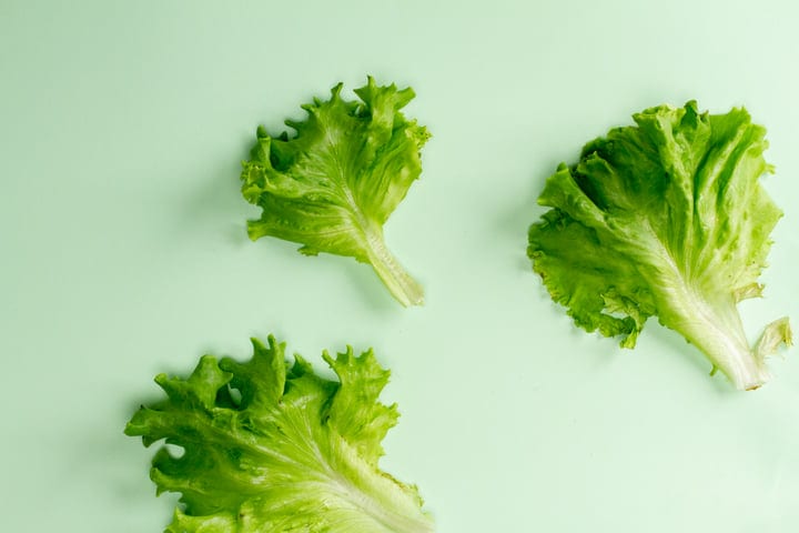 Crisp Lettuce Leaves on Soft Mint Background