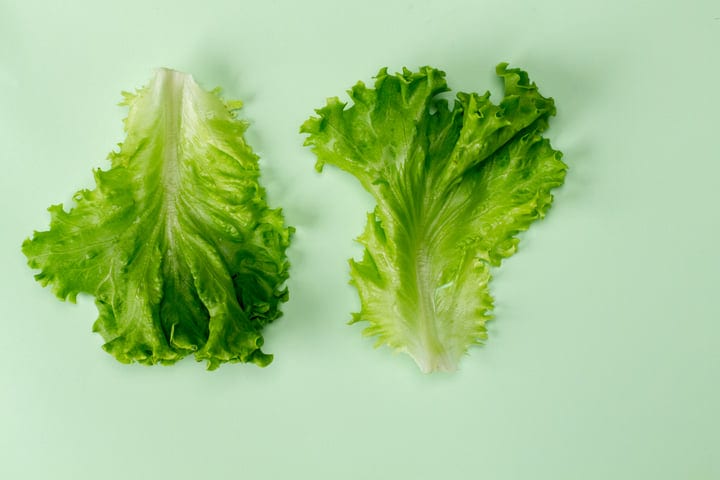Crisp Lettuce Leaves on Soft Green Backdrop