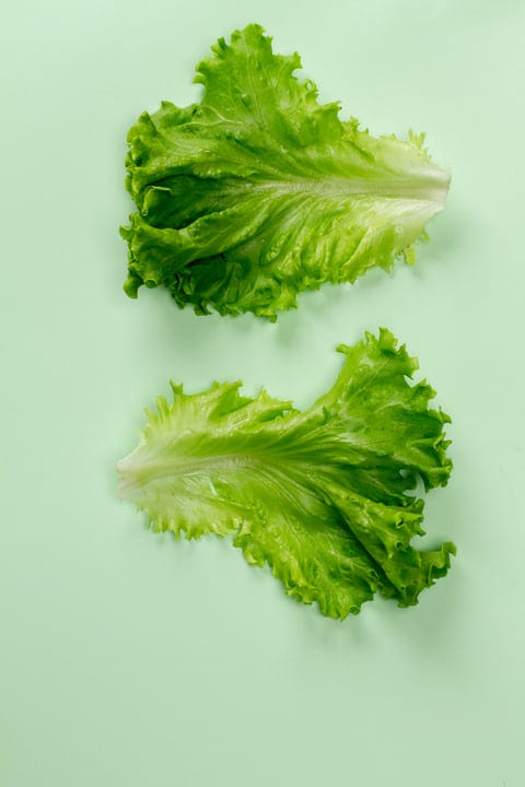 Crisp Lettuce Leaves Against A Soft Green Canvas