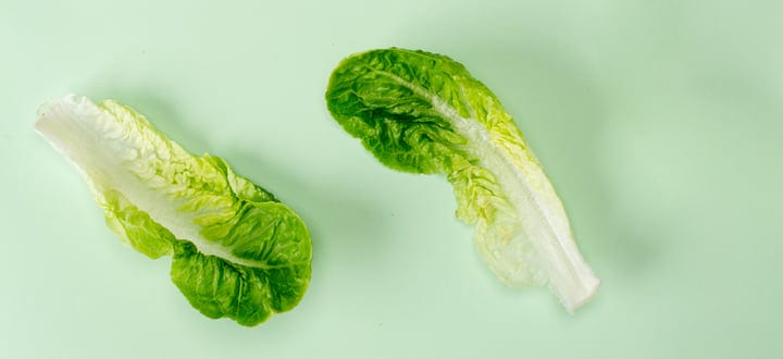 Crisp Lettuce Leaves On A Soft Pastel Canvas