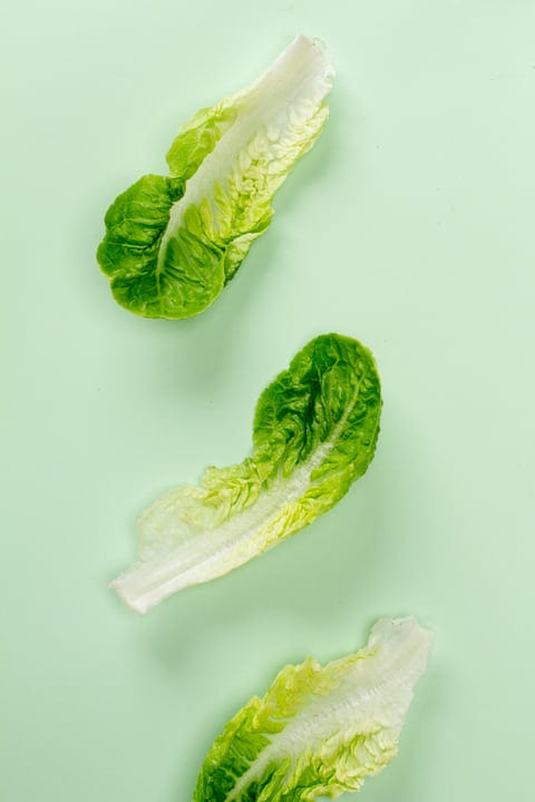 Crisp Lettuce Leaves on Soft Pastel Green Background