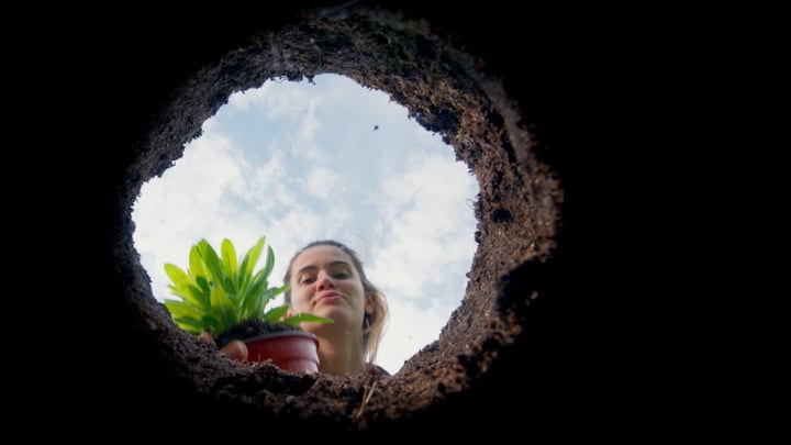 A Gardener's Hands Bring Life To The Soil