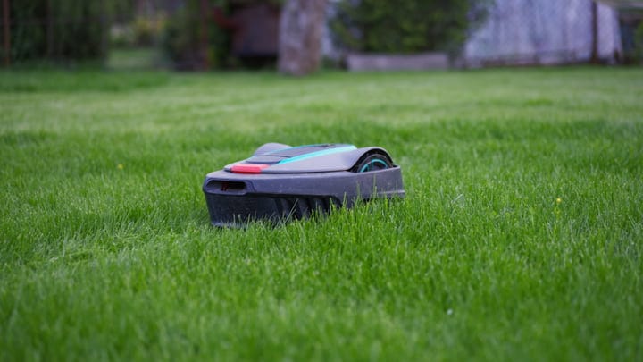 Robotic Lawn Mower Navigating a Green Garden